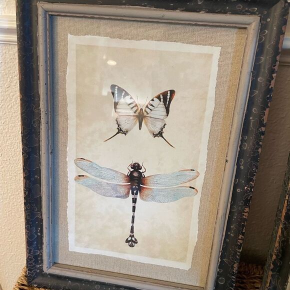 Creative Co-Op Distressed Antique Look Set of 4 Butterfly-Insect Framed Art - Picture 3 of 15